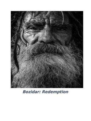 cover image of Božidar
